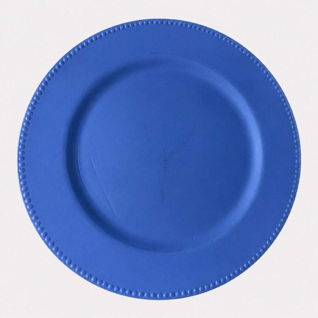 Charger plate 10