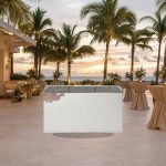 Grill and bar cover